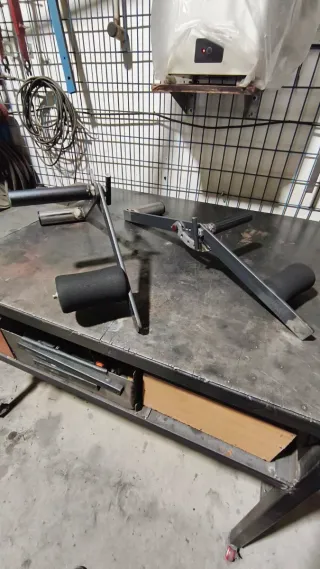 Dumbell curl lever, palanca curl bíceps, brazos