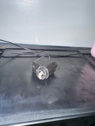 Pecera negra y multicolor