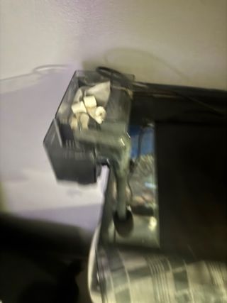 Pecera negra y multicolor