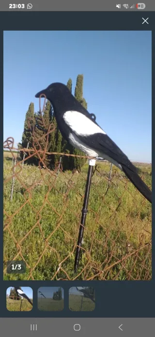 Urraca decorativa para jardín