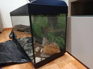 Acuario 90L como nuevo