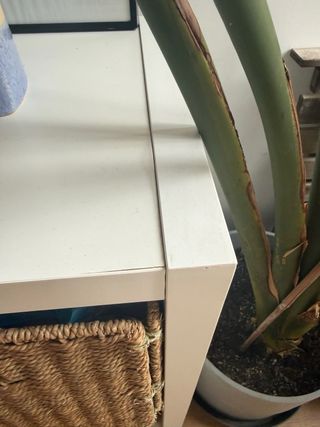 Estantería Kallax 8 huecos