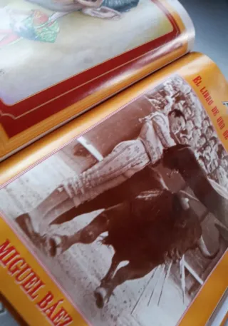 El libro de oro de la Maestranza