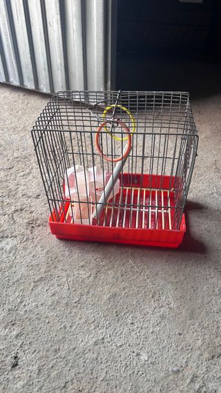 Jaula para pájaros con accesorios