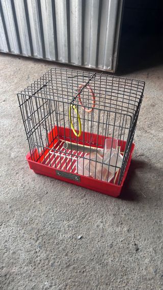 Jaula para pájaros con accesorios