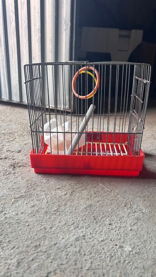 Jaula para pájaros con accesorios