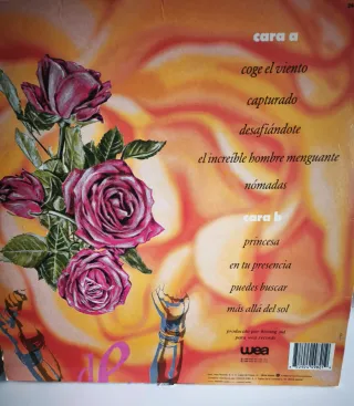 Vinilo La Dama Se Esconde Coge el Viento