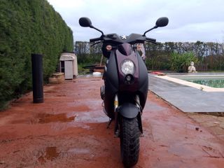 Peugeot Ludix Snake 49cc ITV Pasada