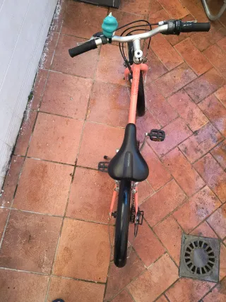 Bicicleta Infantil Riverside 20 Coral