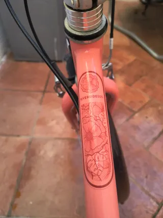 Bicicleta Infantil Riverside 20 Coral
