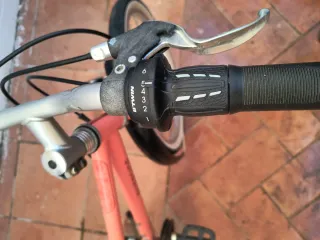 Bicicleta Infantil Riverside 20 Coral