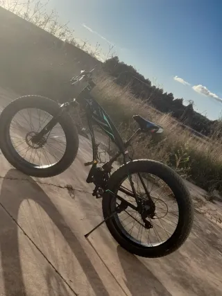 Bicicleta Fat Bike