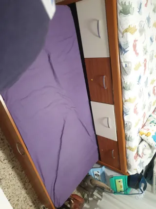 Cama nido infantil dinosaurios