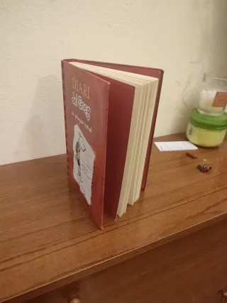 Diari del Greg 1. Está un poco gastado.