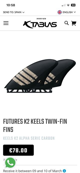 Twin Fin Rip Curl 5'8