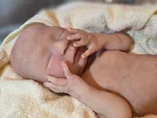 Muñeca Reborn Silicona Realista