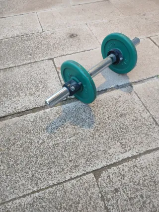 Salter 6 kg Pesas Vintage