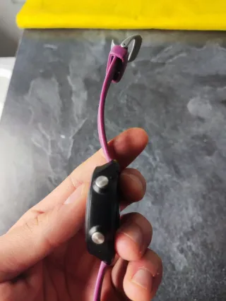 Garmin Forerunner 245 Music Rosa