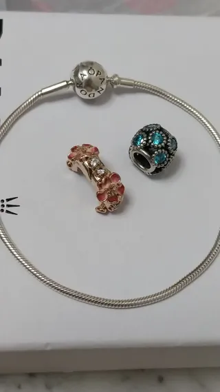 Lote Pandora Pulsera y Charms para Amaya