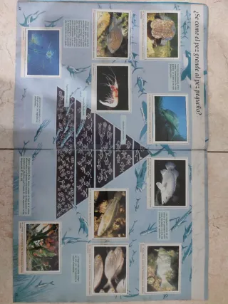 El Planeta Azul. Panini