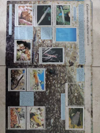 El Planeta Azul. Panini