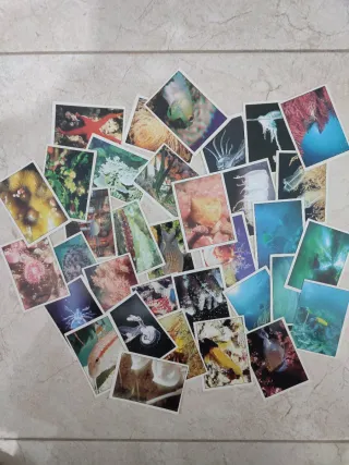 El Planeta Azul. Panini