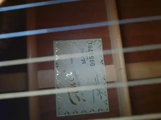 Guitarra Electroacústica Fenix SL 90