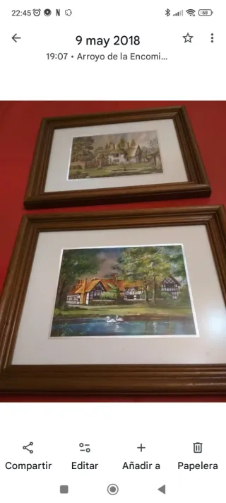 Cuadro Clásico Hogar con Lago