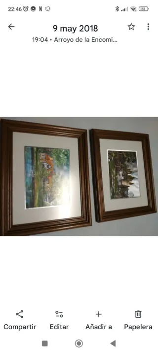 Cuadro Clásico Hogar con Lago