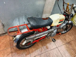 Ducati Mini 3