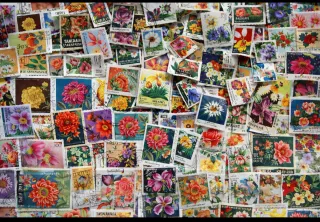 Lote 500 Sellos Flores y Plantas