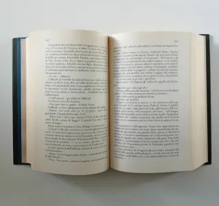 La cattedrale del mare di Ildefonso Falcones