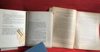 Lote 2 Libri Antichi sull'Agricoltura