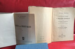 Lote 2 Libri Antichi sull'Agricoltura