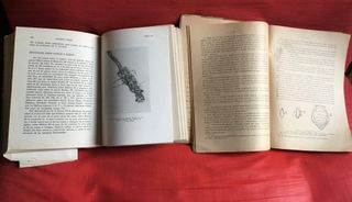 Lote 2 Libri Antichi sull'Agricoltura