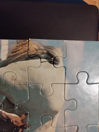 3 Puzzles Mascotas 25 Piezas