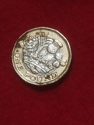 Moneda 1 Libra 2017 Isabel II