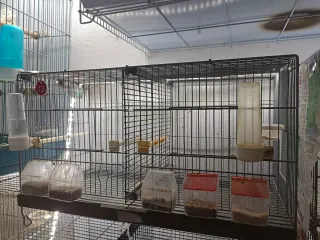 Jaulas para pájaros de 60cmy de 45cm