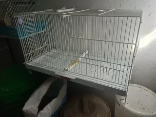 Jaulas para pájaros de 60cmy de 45cm