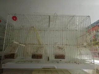 Jaulas para pájaros de 60cmy de 45cm