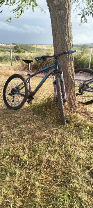 Bici Montaña ST 120