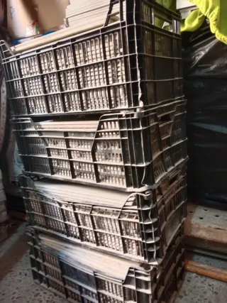 Rodapiés de mármol veteado (200 unidades)