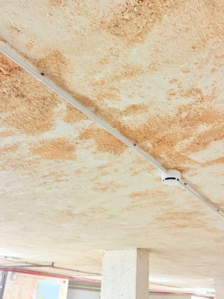 Servicios de pintura profesional