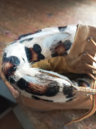 Botas Panama Jack mujer mostaza