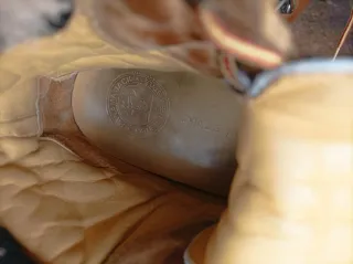 Botas Panama Jack mujer mostaza