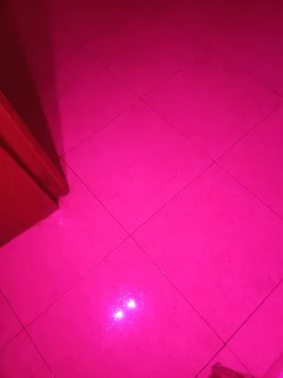 Foco led cultivo indor