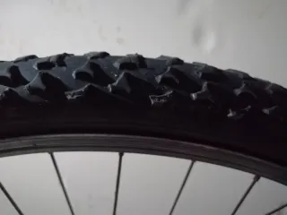 Rueda Delantera Bicicleta Montaña