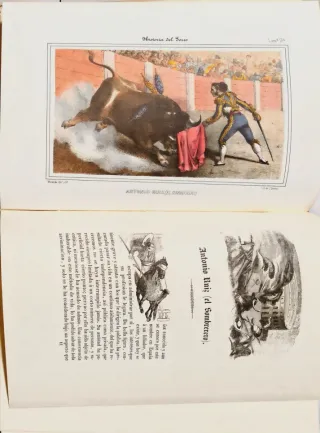 Libro Historia del Toreo Bedoya Ed 1989