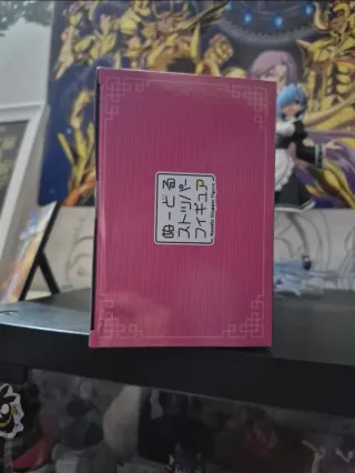 Figure Ranma 1/2 - Ranma Saotome