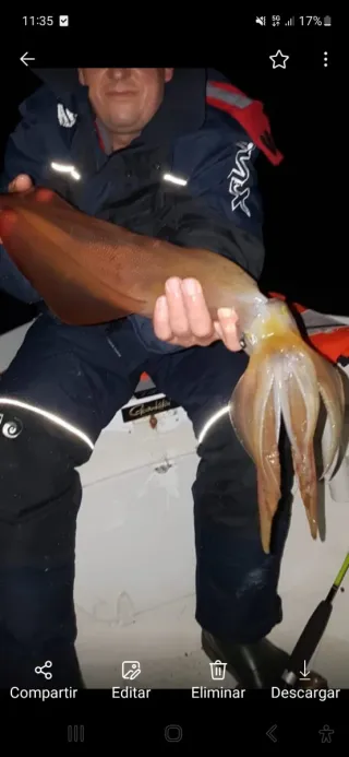 Salidas de pesca en barco
